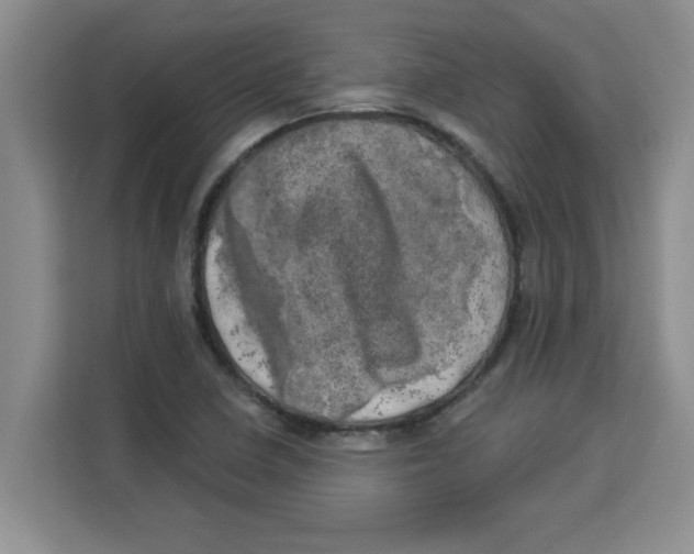 X0000113921410200910221344