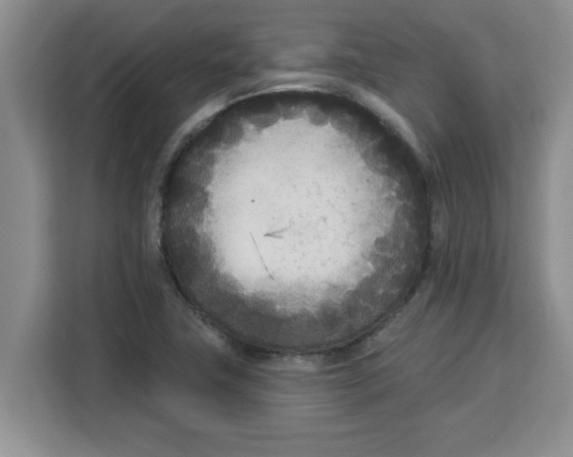 X0000113921411200910221344
