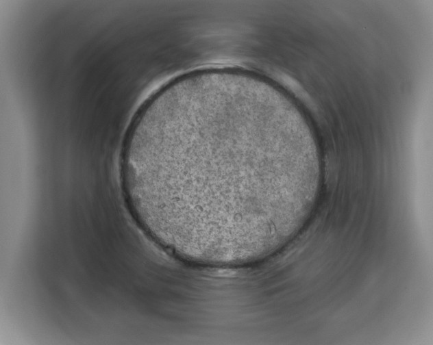 X0000113921412200910221344
