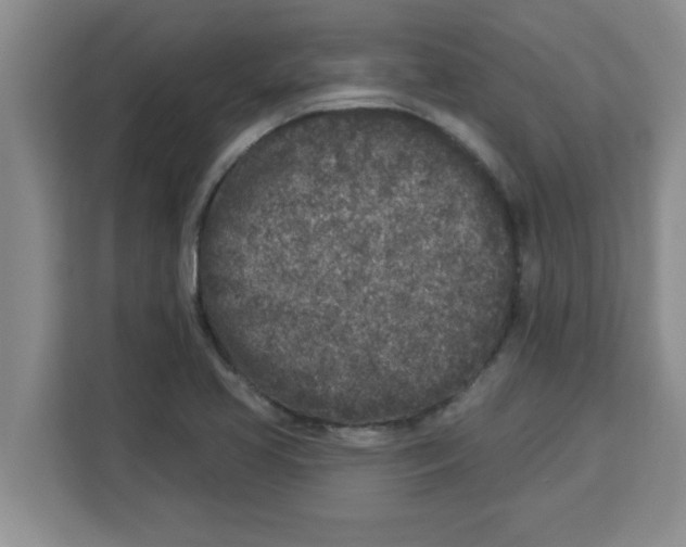 X0000113921413200910221344
