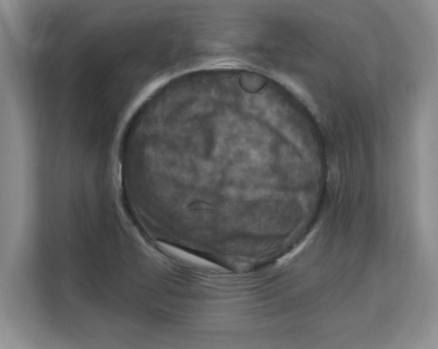 X0000113921414200910221344