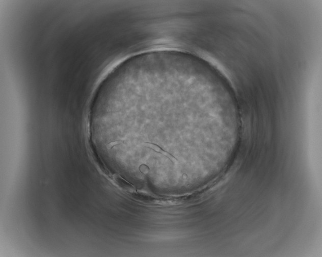X0000113921415200910221344