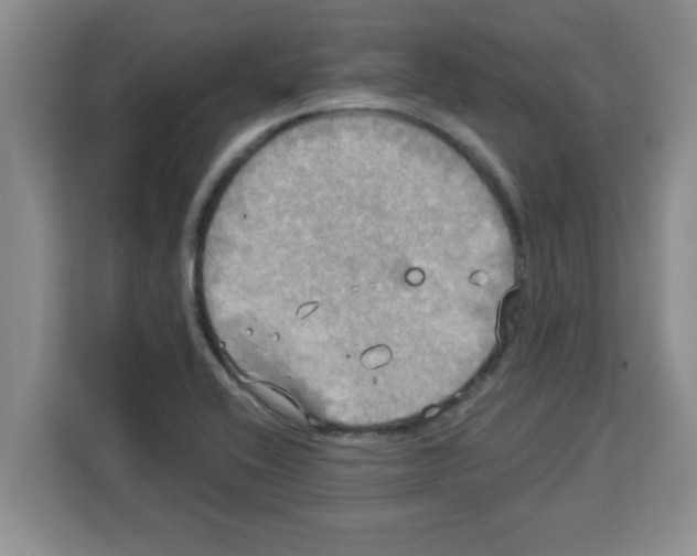 X0000113921416200910221344