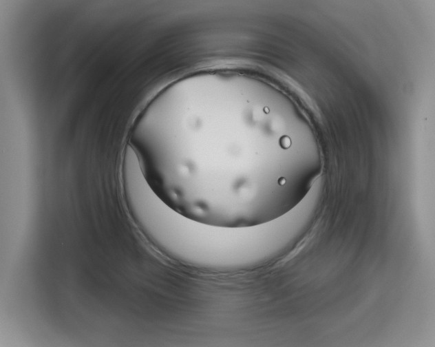 X0000113921417200910221344