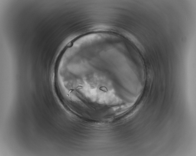 X0000113921418200910221344