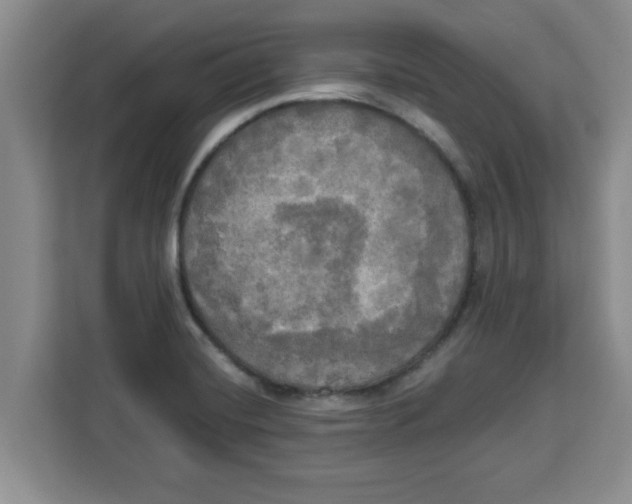 X0000113921420200910221344