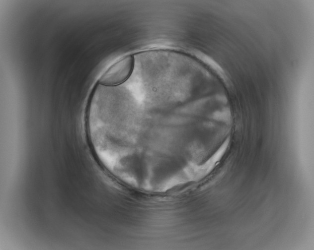 X0000113921423200910221344