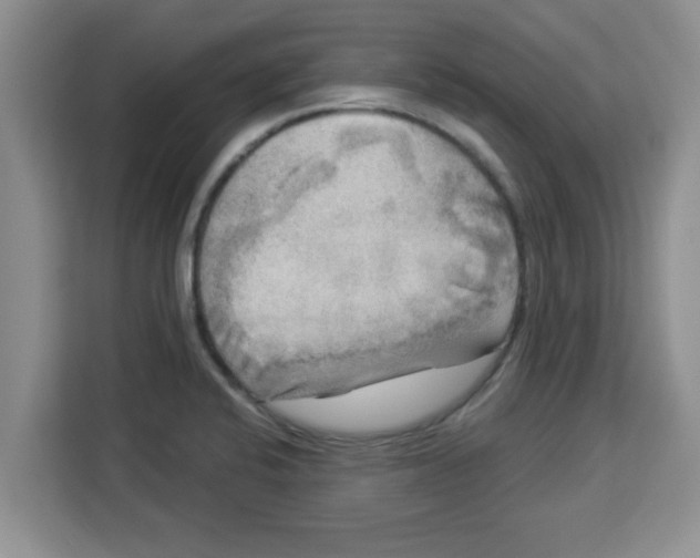 X0000113921424200910221344