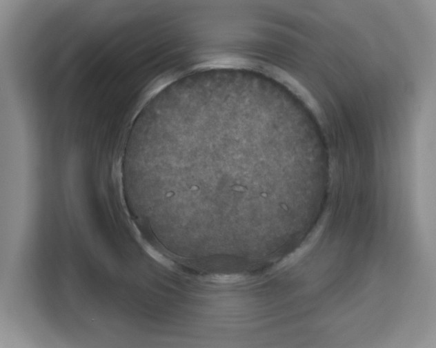 X0000113921425200910221344