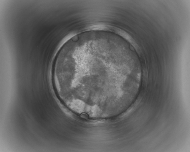 X0000113921426200910221344