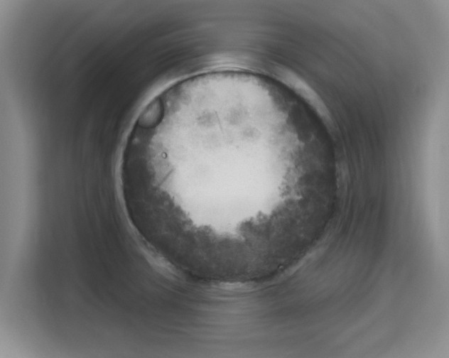 X0000113921427200910221344