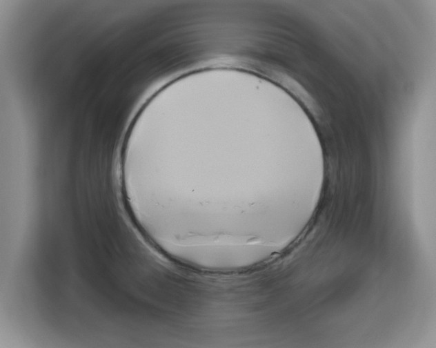 X0000113921428200910221344