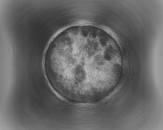 X0000113921429200910221344