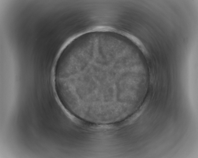 X0000113921430200910221344