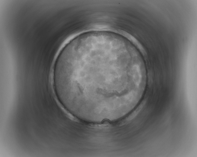 X0000113921432200910221344