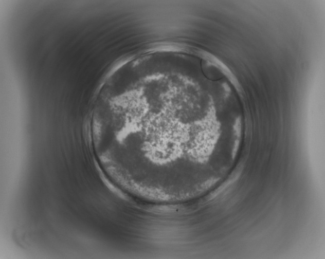 X0000113921433200910221344