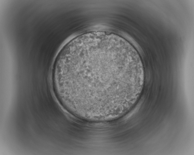 X0000113921434200910221344