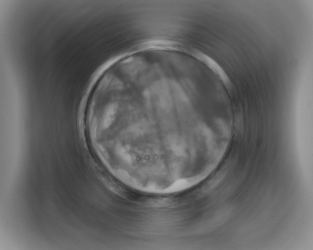 X0000113921435200910221344