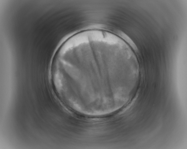 X0000113921436200910221345