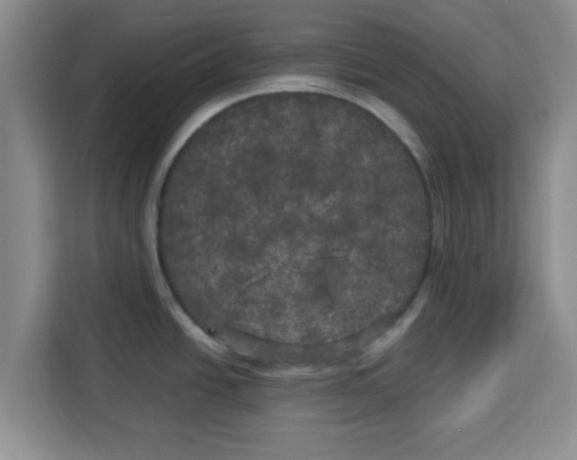 X0000113921438200910221345