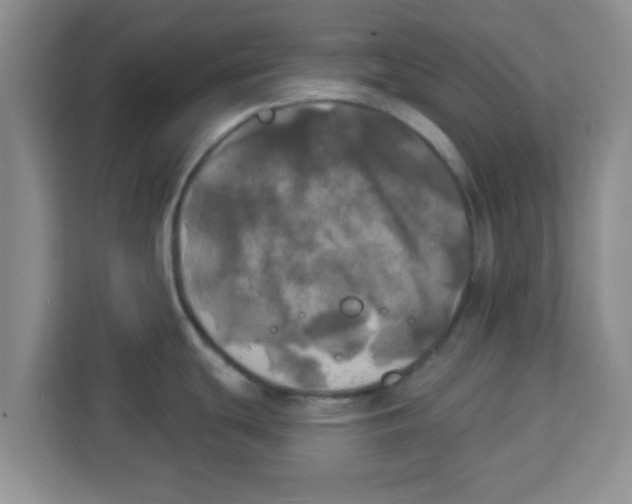 X0000113921439200910221345