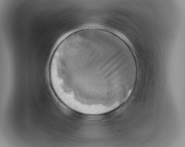 X0000113921440200910221345