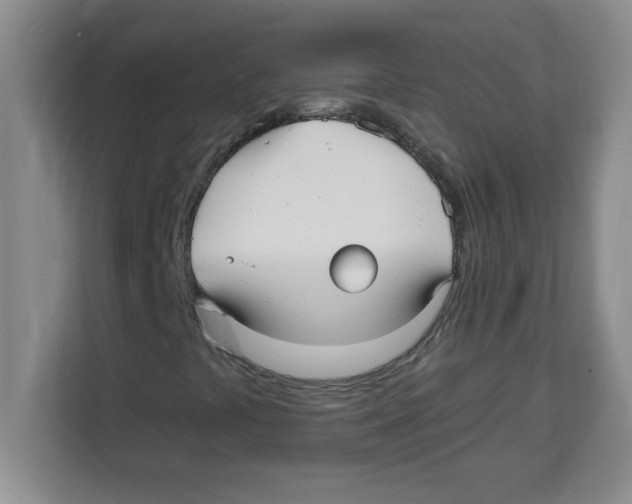 X0000113921441200910221344