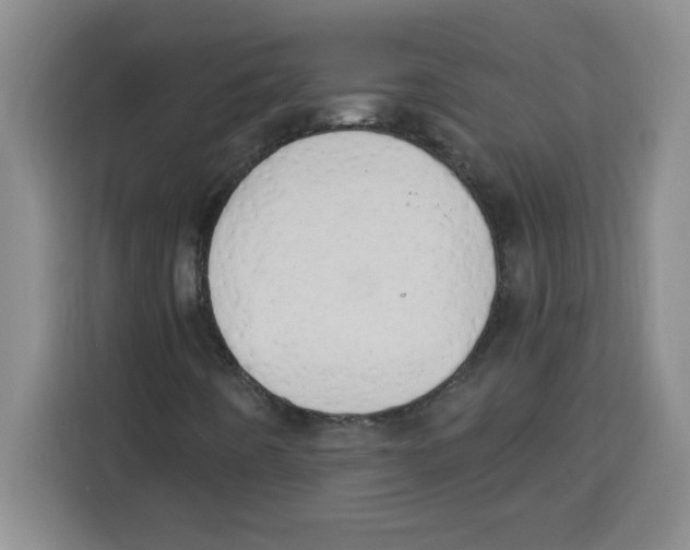 X0000113921442200910221344