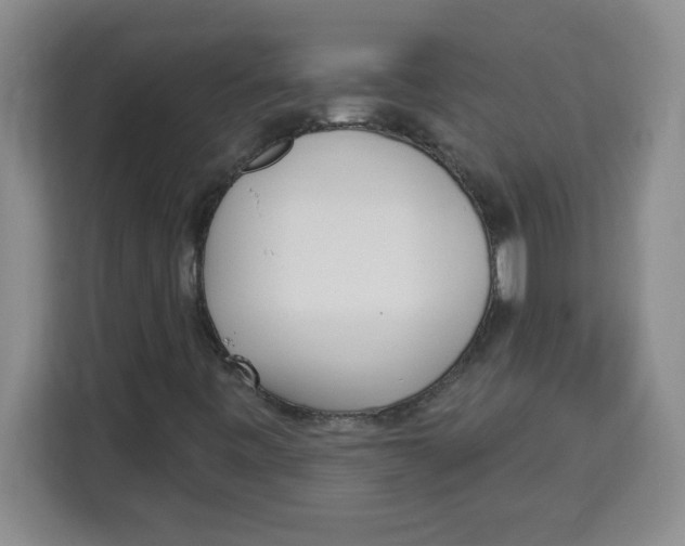 X0000113921443200910221344