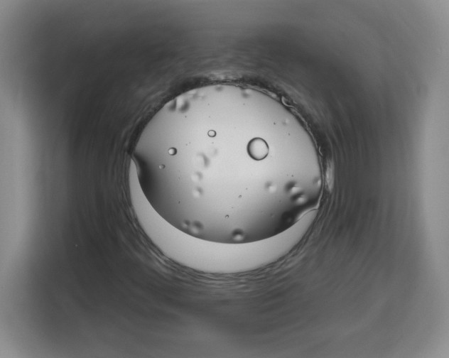 X0000113921444200910221344