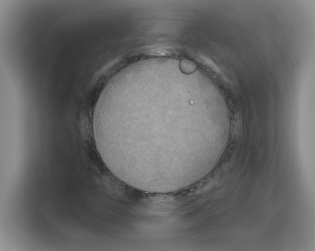 X0000113921446200910221344