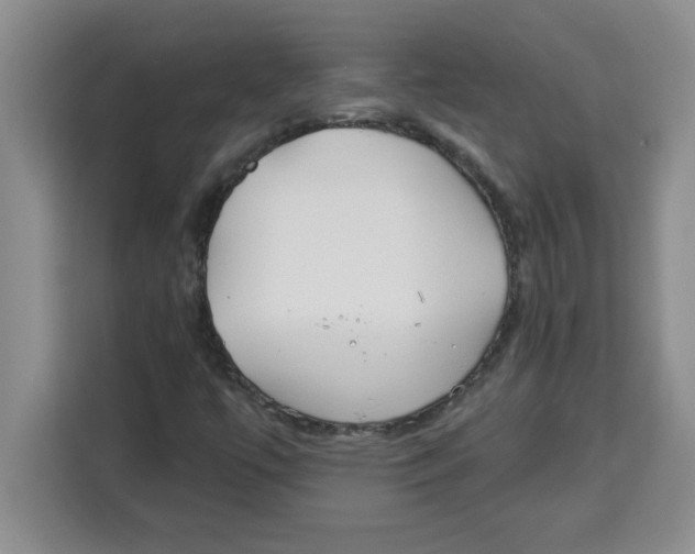 X0000113921447200910221344