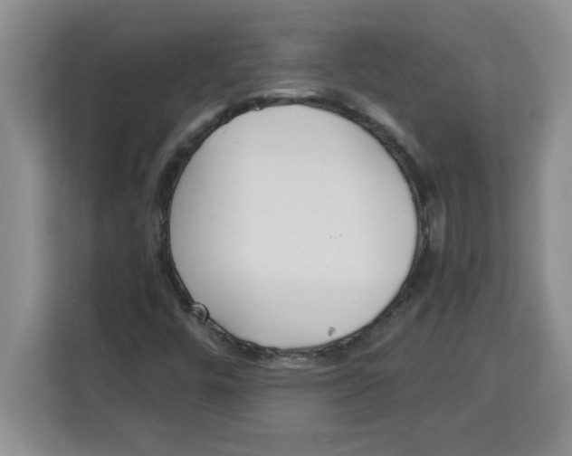 X0000113921448200910221344