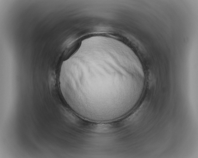 X0000113921449200910221344