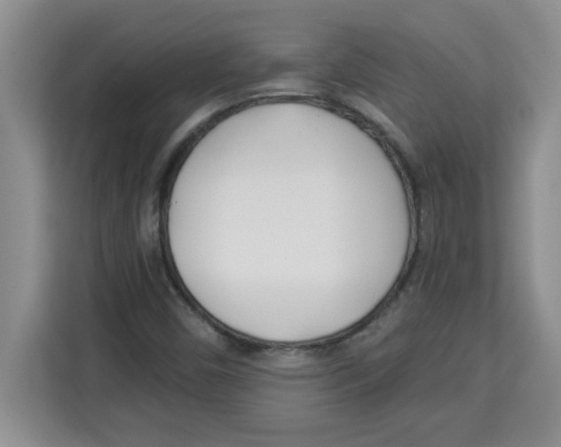 X0000113921450200910221344