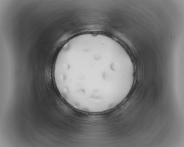 X0000113921451200910221344