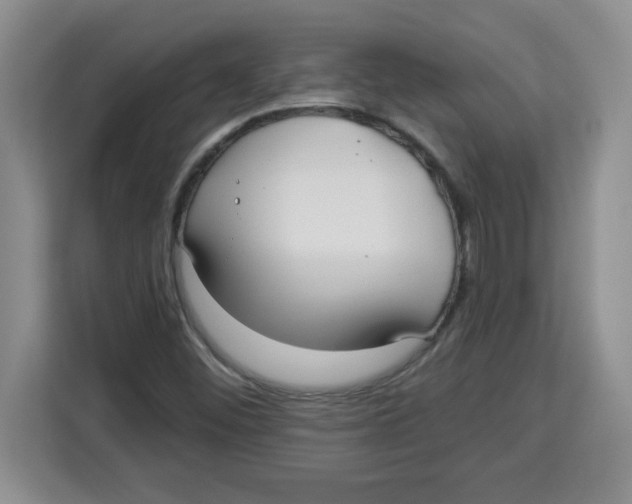 X0000113921452200910221344