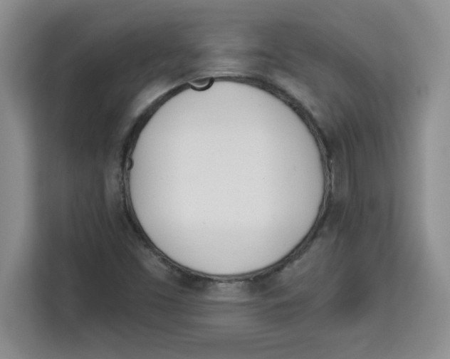 X0000113921453200910221344