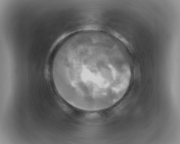 X0000113921454200910221344