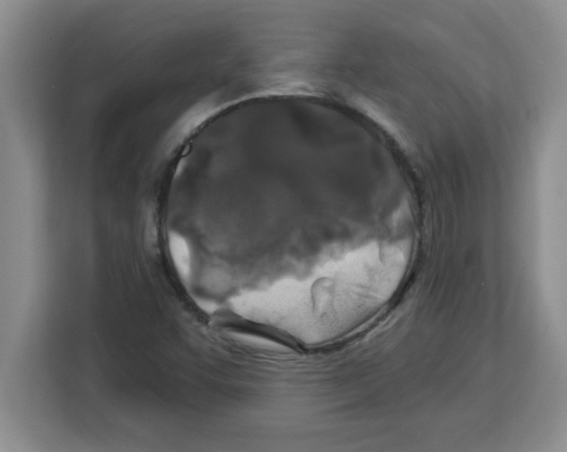 X0000113921455200910221344