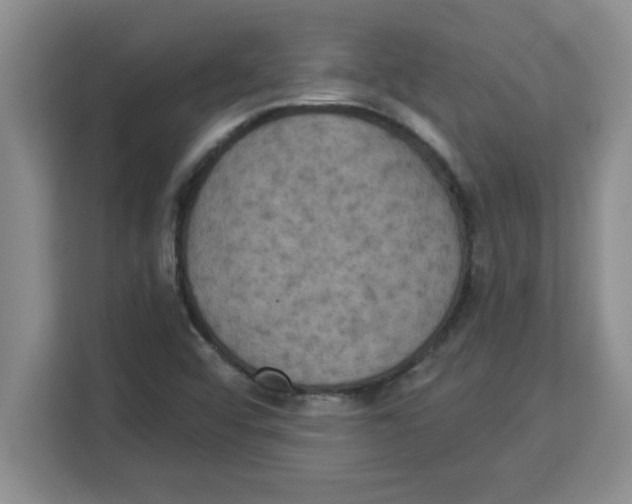 X0000113921456200910221344