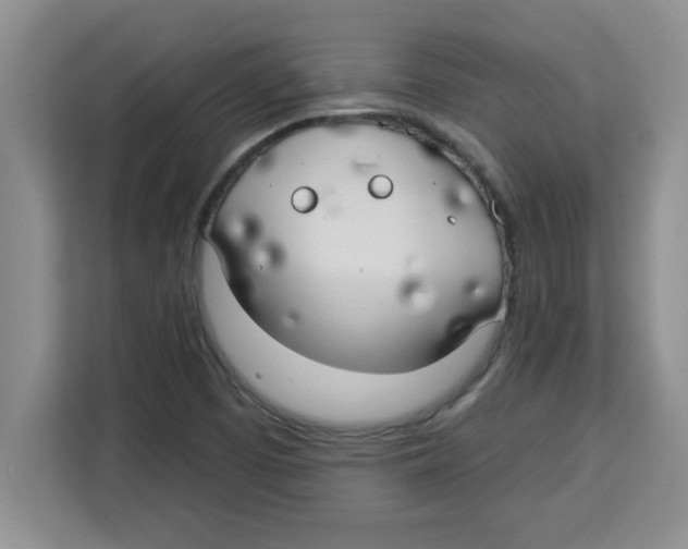 X0000113921457200910221344