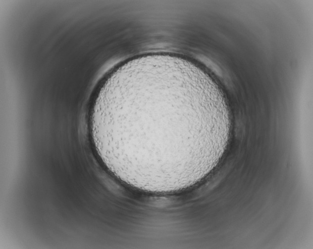 X0000113921458200910221344