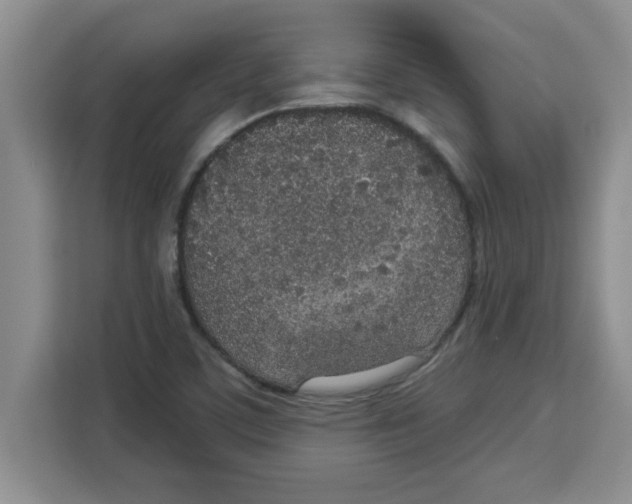 X0000113921459200910221344