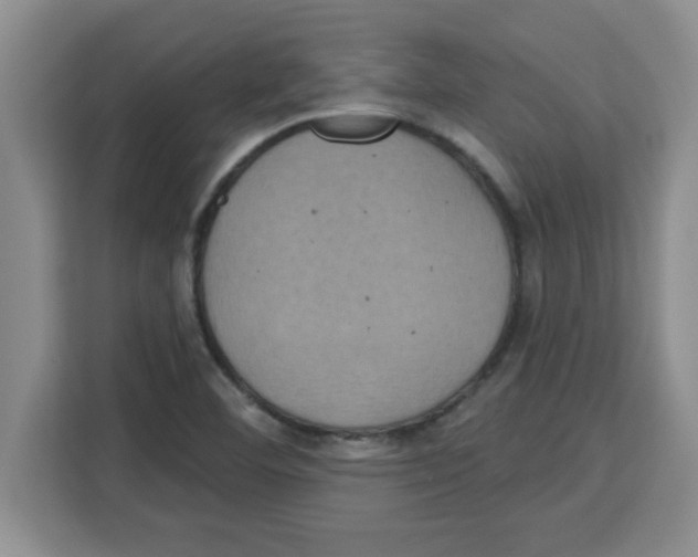 X0000113921460200910221344