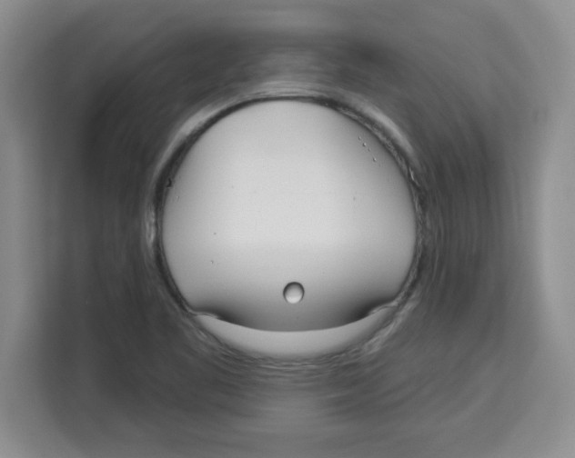 X0000113921461200910221344