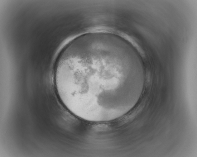 X0000113921462200910221344