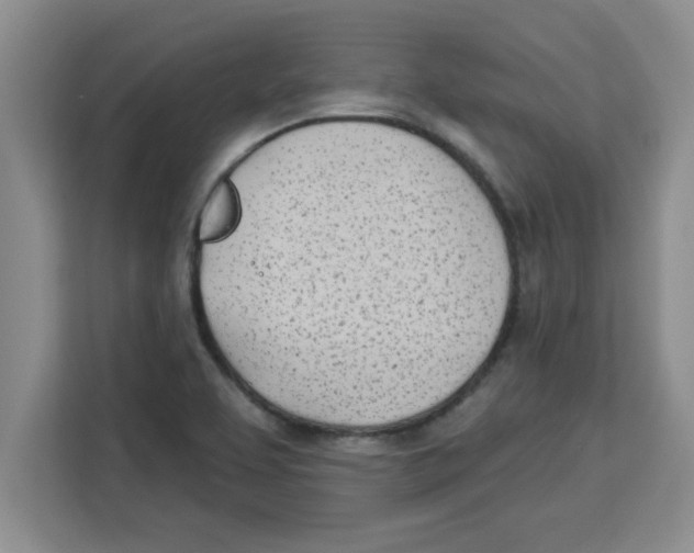X0000113921463200910221344