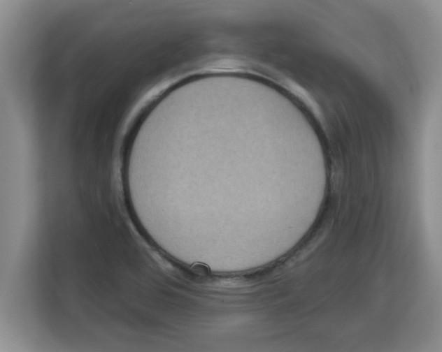 X0000113921464200910221344