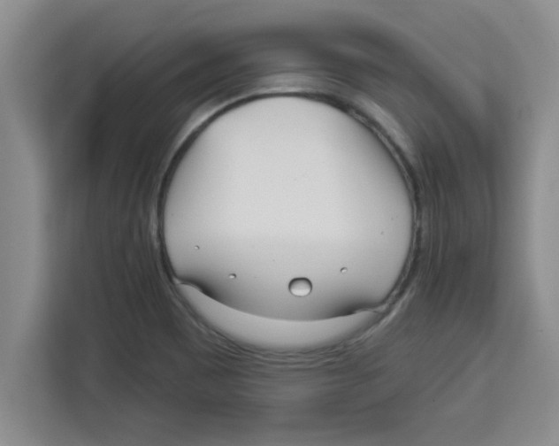 X0000113921465200910221344